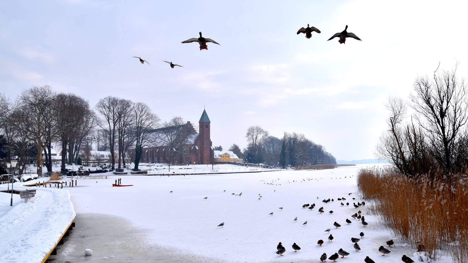 Naturpark Maribo-Seen