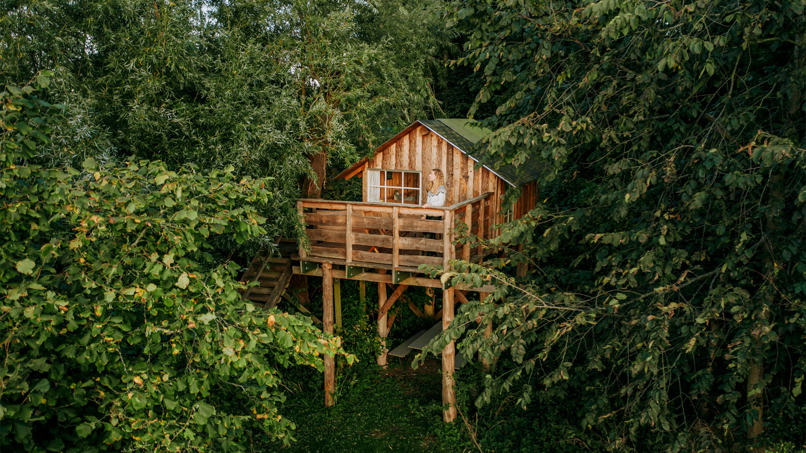 Treehouse B&B