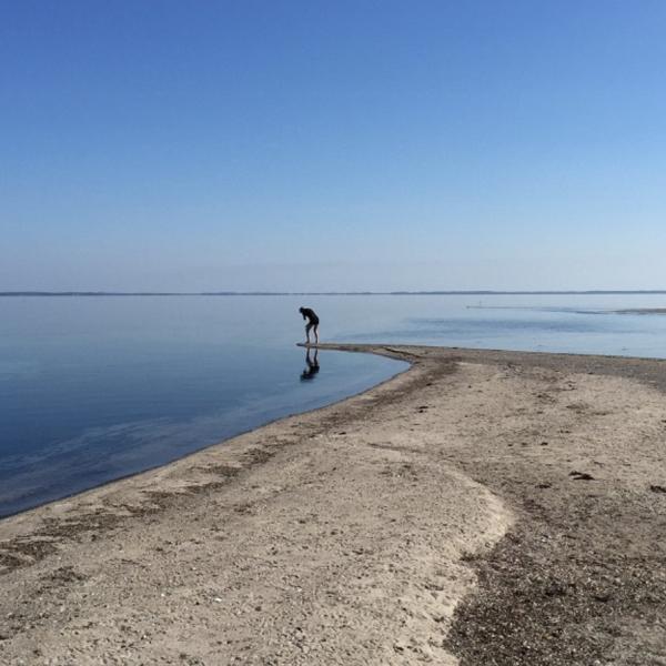 Femø Strand Sletterspidsen