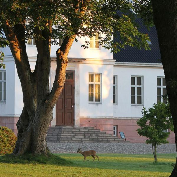 Reventlow-Museet Pederstrup