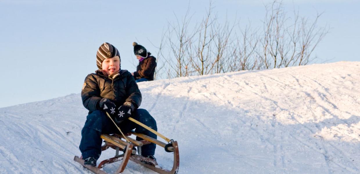 Barn på kælk