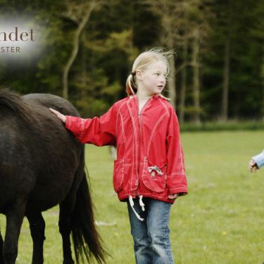 Hest og børn