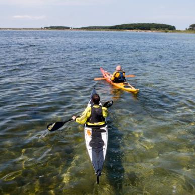 Nakskov Fjord kano/kajak