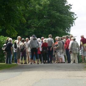 Femø guidede grønne ture