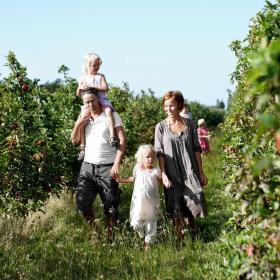 Fejø familie går i frugtplantage