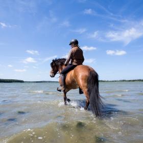 Ny Kirstineberg Gods rytter og hest i vandet sommer