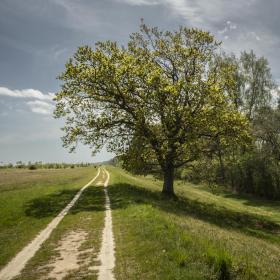 Vandring botøskov