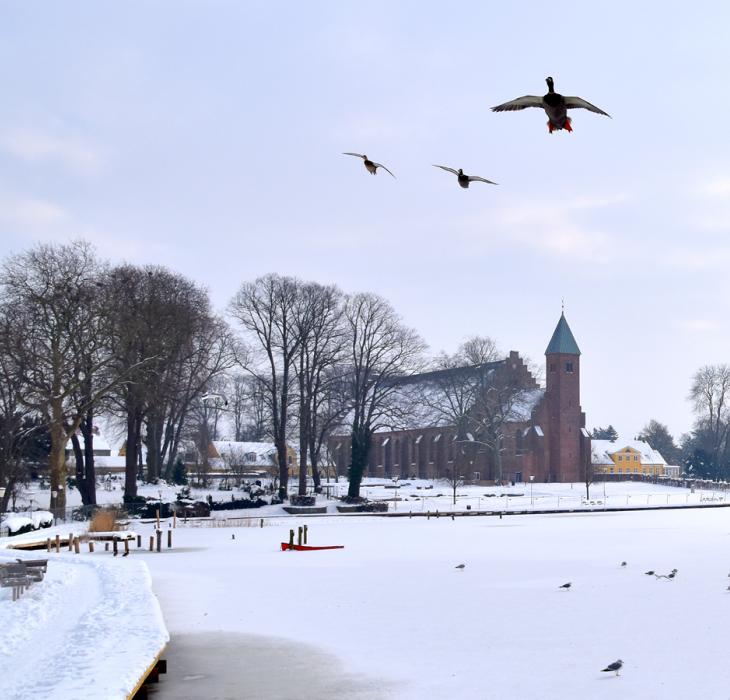 Maribo Cathedral